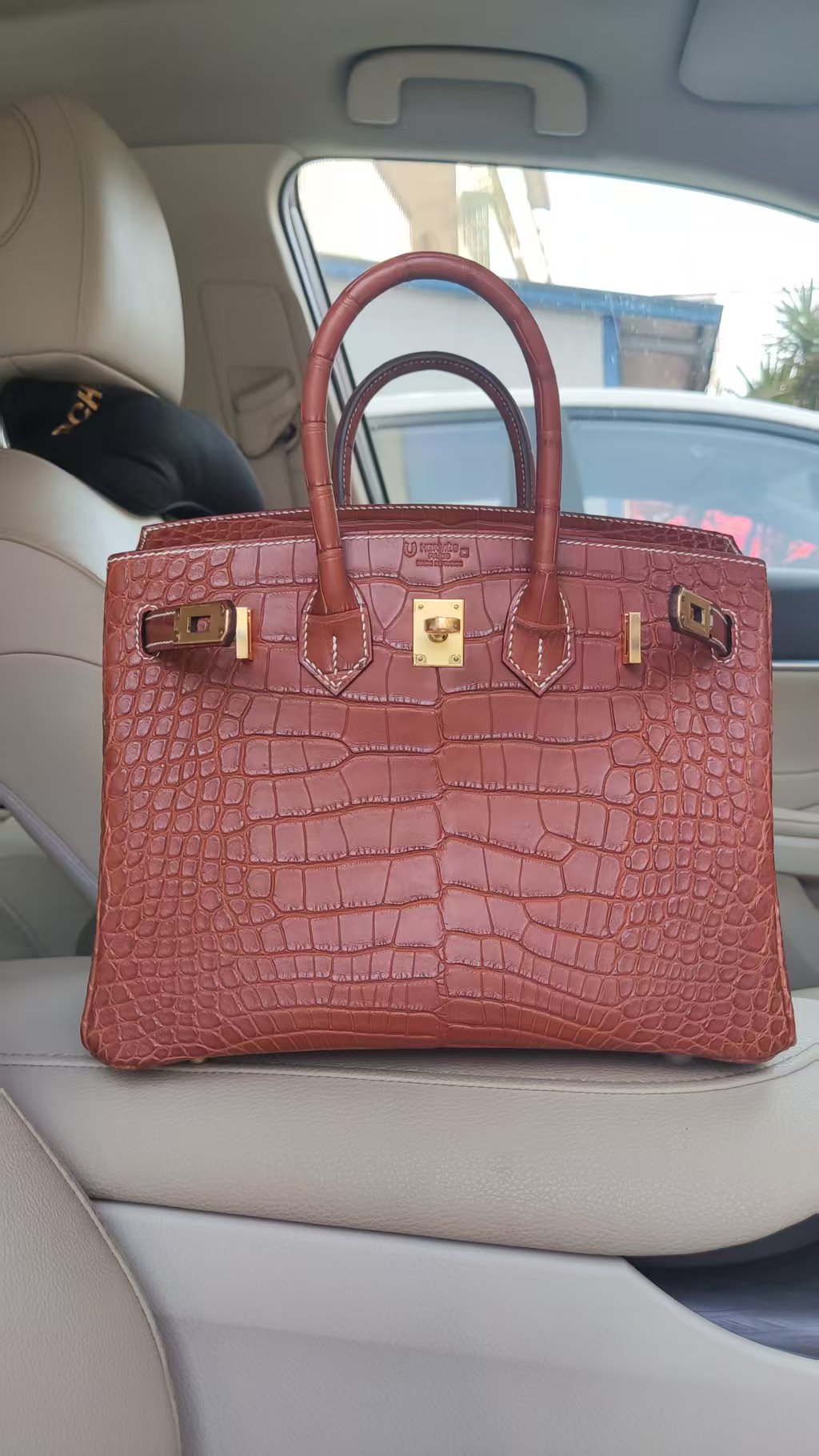 Fauve alligator BK25 GHW 1